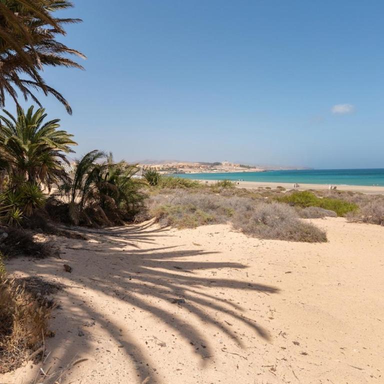 Playa Jaqueta - Apartamento de 2 dormitorios - 24