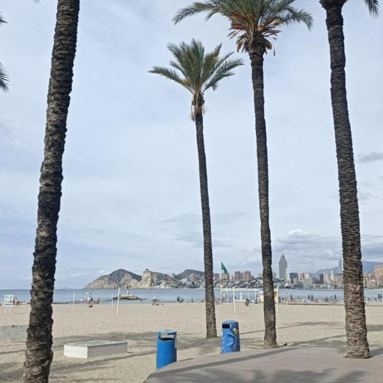 Benidorm Beach - Apartamento de 2 dormitorios - 21