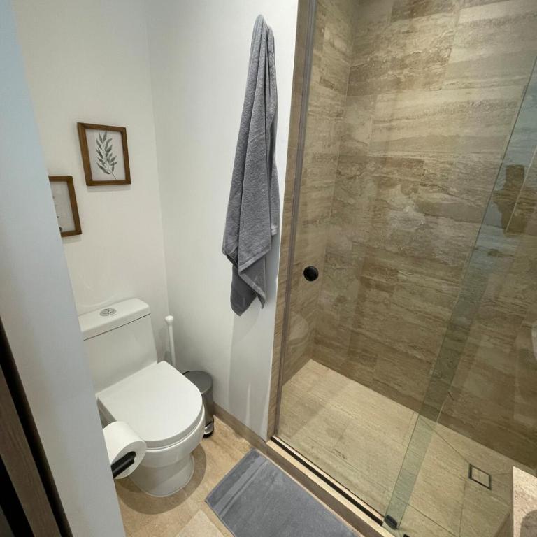 Excelente Ubicación a unos pasos de Reforma - One-Bedroom Apartment - 4