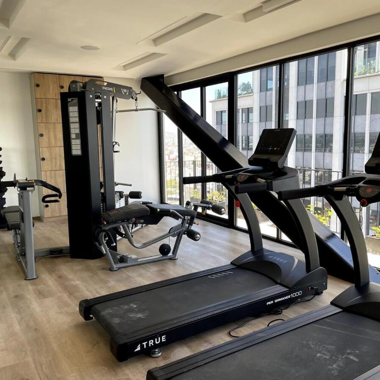 Excelente Ubicación a unos pasos de Reforma - One-Bedroom Apartment - 6