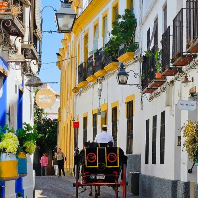 Petit Mansión JUDERÍA - Apartamento de 2 dormitorios - 19