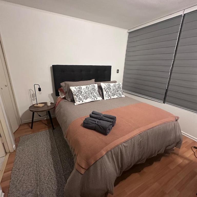 Acogedor departamento en Santiago - One-Bedroom Apartment - 3