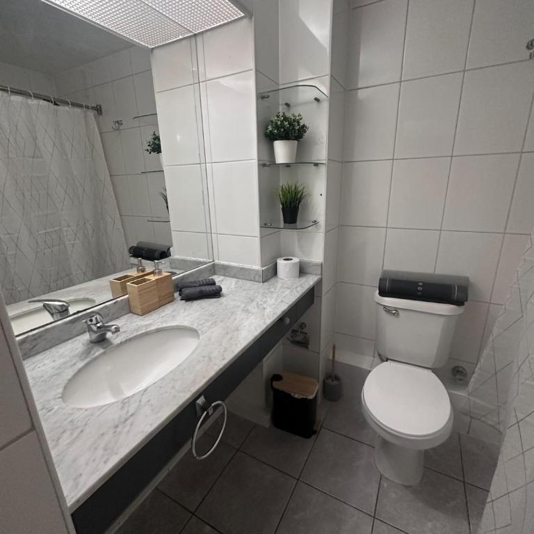 Acogedor departamento en Santiago - One-Bedroom Apartment - 13