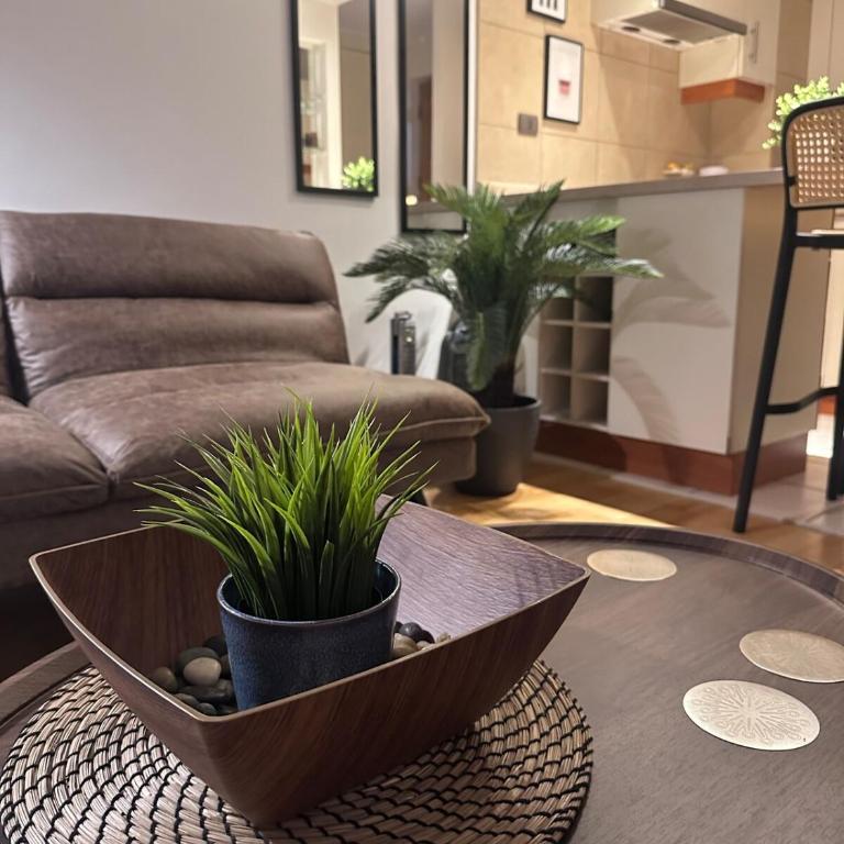 Acogedor departamento en Santiago - One-Bedroom Apartment - 14