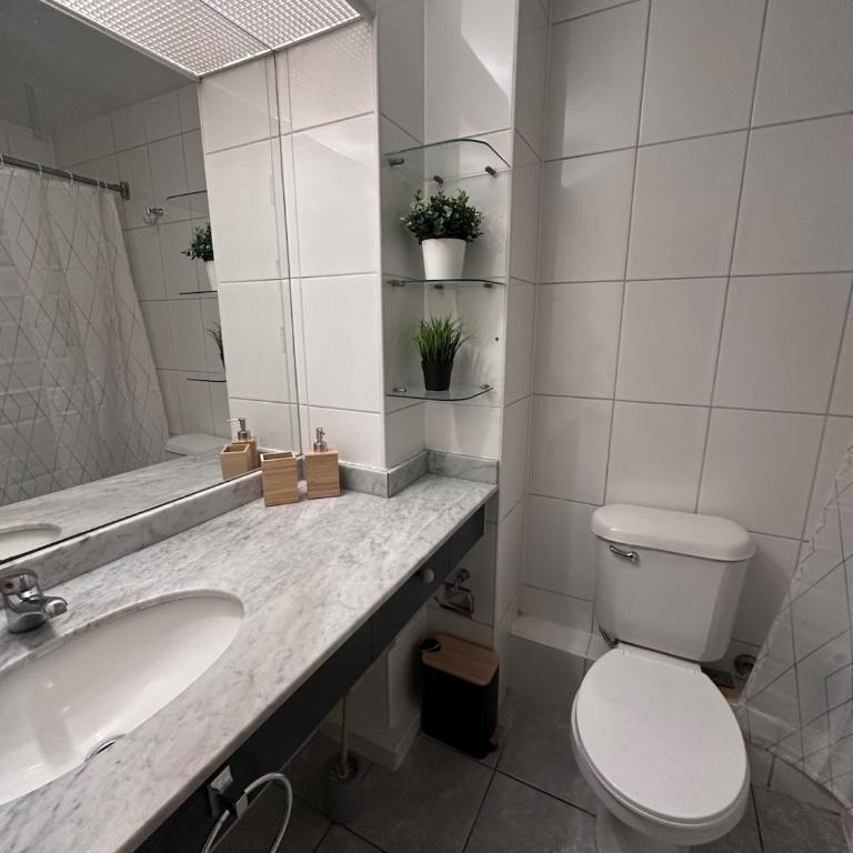 Acogedor departamento en Santiago - One-Bedroom Apartment - 27