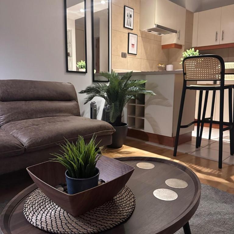 Acogedor departamento en Santiago - One-Bedroom Apartment - 33
