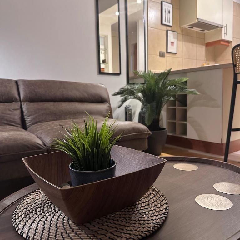 Acogedor departamento en Santiago - One-Bedroom Apartment - 34