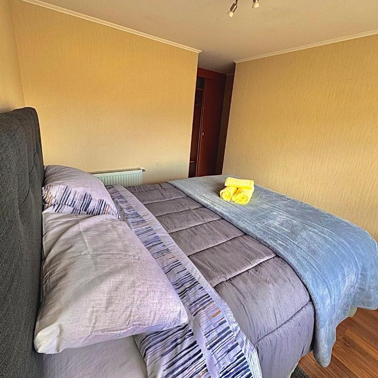 Centro Temuco 4 - Apartamento de 1 dormitorio - 6