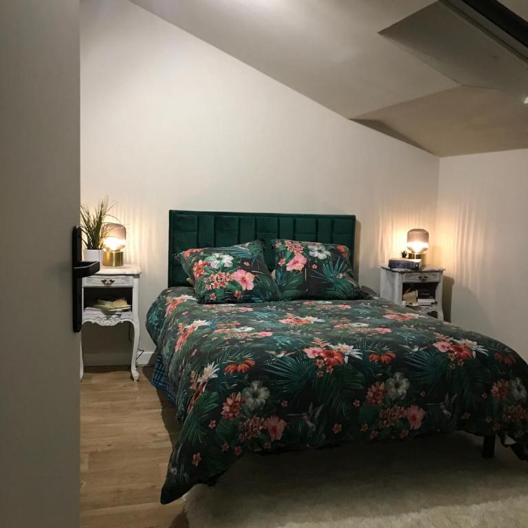 Loft 90m2 avec spa chauffé unique à Lyon - One-Bedroom House - 2