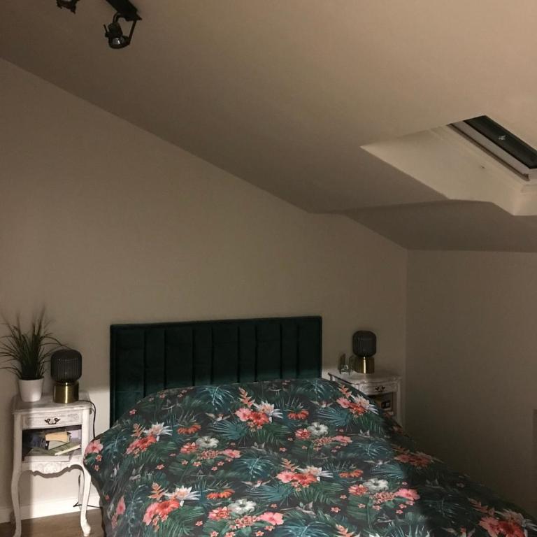 Loft 90m2 avec spa chauffé unique à Lyon - One-Bedroom House - 8