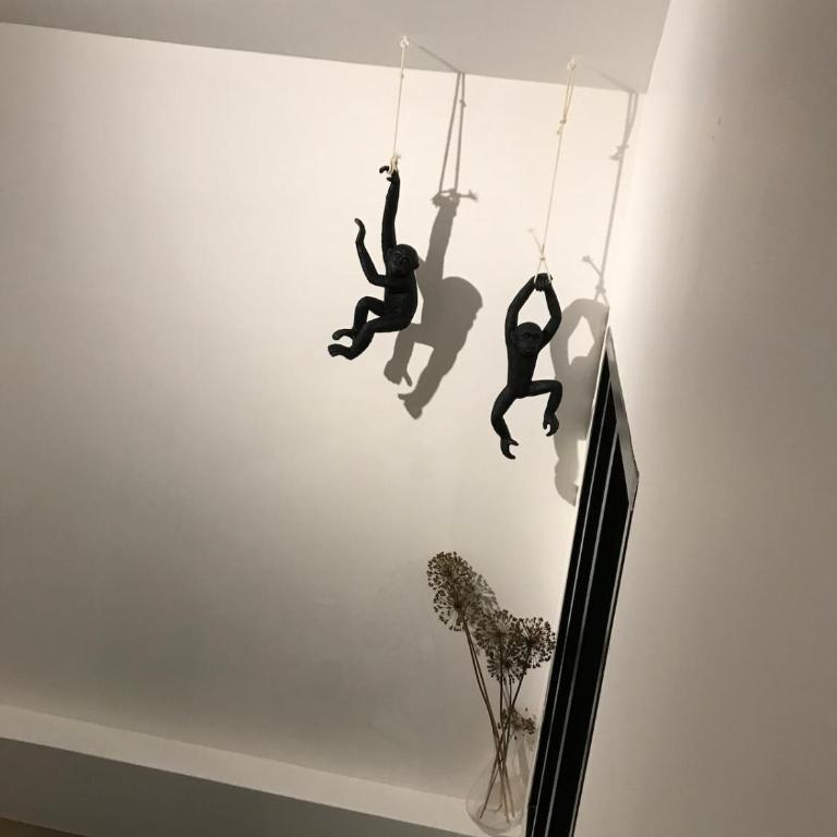Loft 90m2 avec spa chauffé unique à Lyon - One-Bedroom House - 50