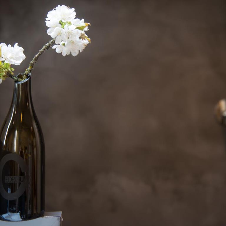 Bio Weingut Georgium - Doppelzimmer - 8
