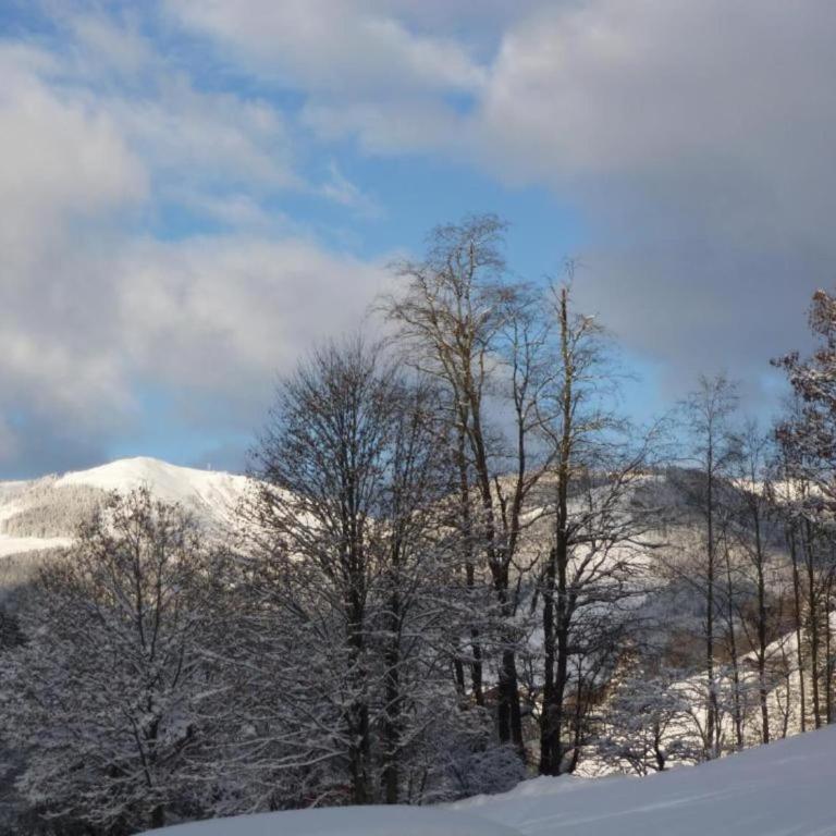 Studio in Saalbach near Ski Slopes - Apartment mit 1 Schlafzimmer - 36