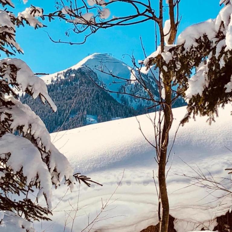Chalet in Saalbach near Ski Lift and Sauna - Chalet - 39