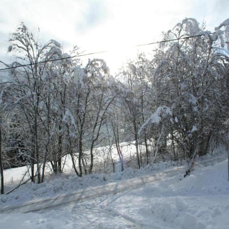 Chalet in Einach nahe Skipisten - Ferienhaus mit 3 Schlafzimmern - 40