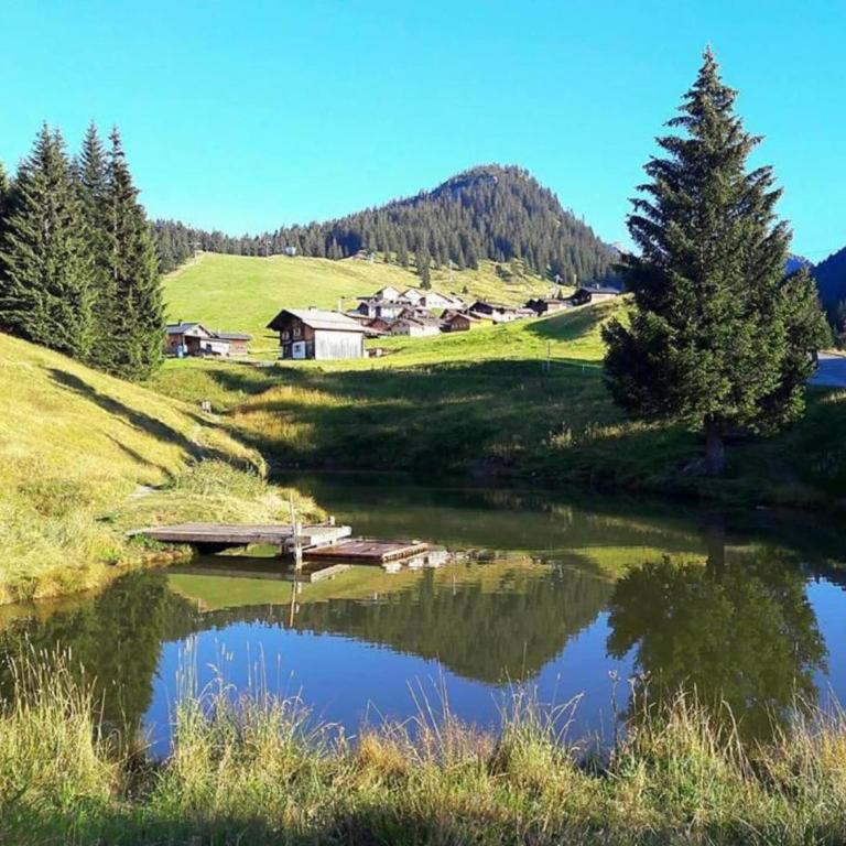 Apartment in St Gallenkirch near Ski Lift - Apartment mit 3 Schlafzimmern - 29