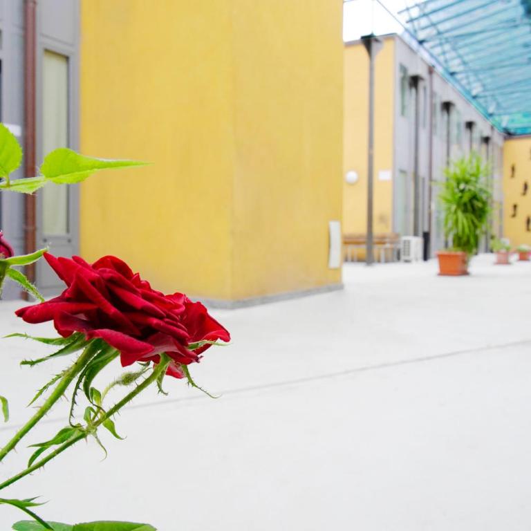 Appartamento moderno per 4 persone - Apartment mit 1 Schlafzimmer - 53