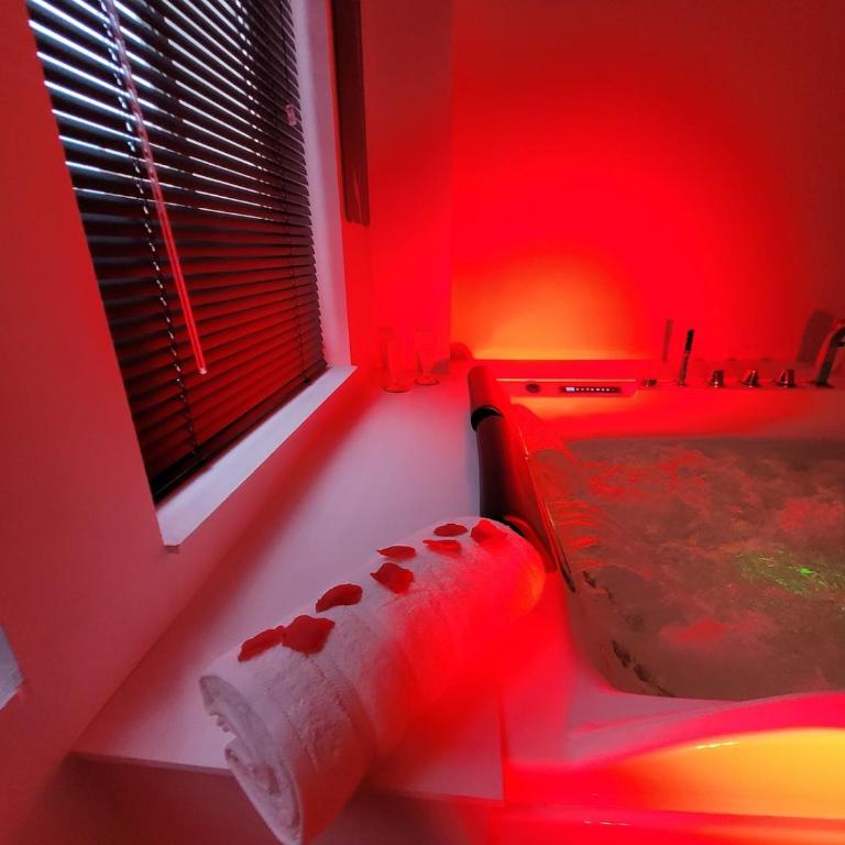Loveroom Instants Secret Amiens - Appartement 1 Chambre - 19