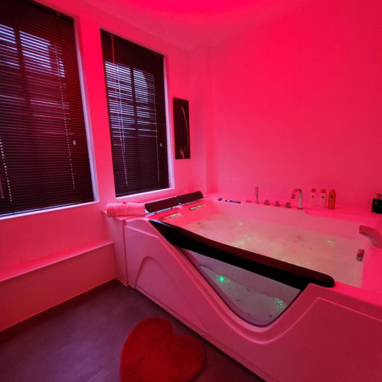 Loveroom Instants Secret Amiens - Appartement 1 Chambre - 24