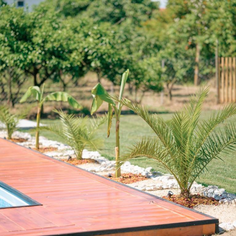RAOS Cottage - Koliba sa 2 Spavaće Sobe - 20