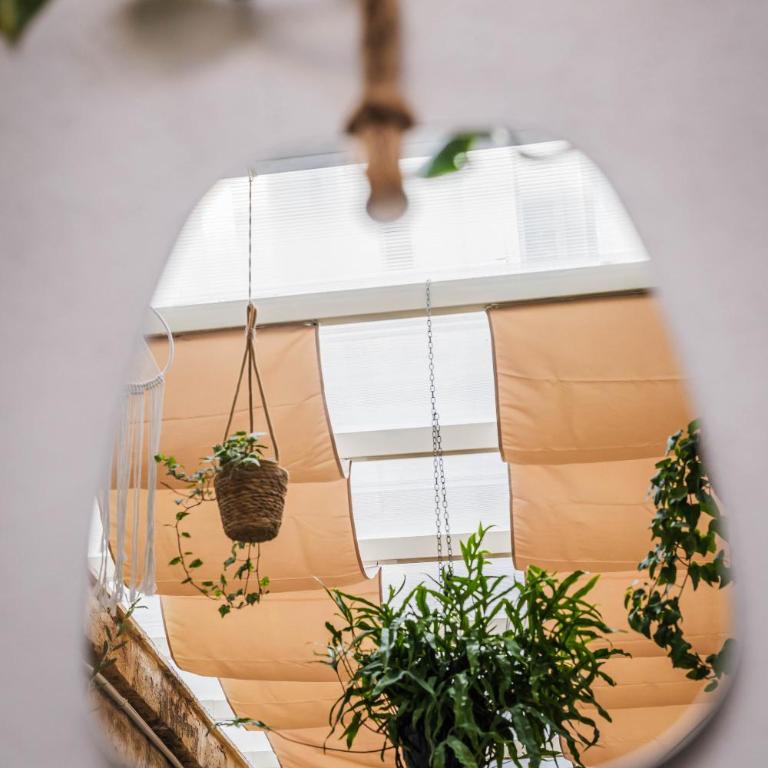 Il Giardino di Sole - Appartamento con 1 Camera da Letto - 21