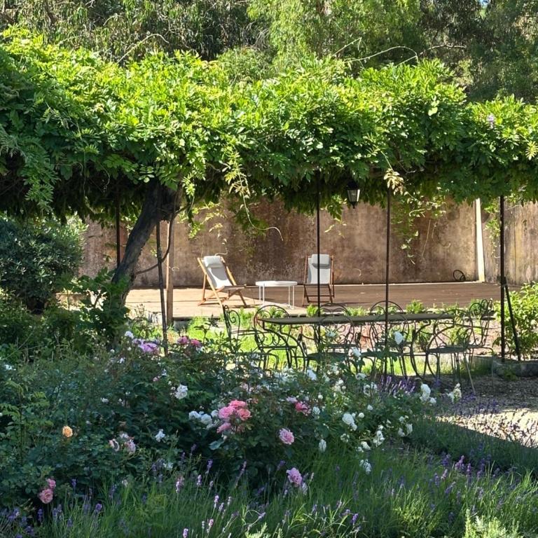 Casa Grande, historic Villa by the sea, in the sea - Villa - 28