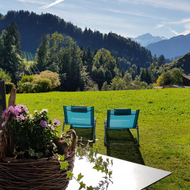 Ferienwohnung Lipp - Apartment mit Terrasse - 1
