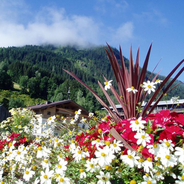 Am Zwölferkogel Appartements - Apartment mit Blick auf die Berge - 26