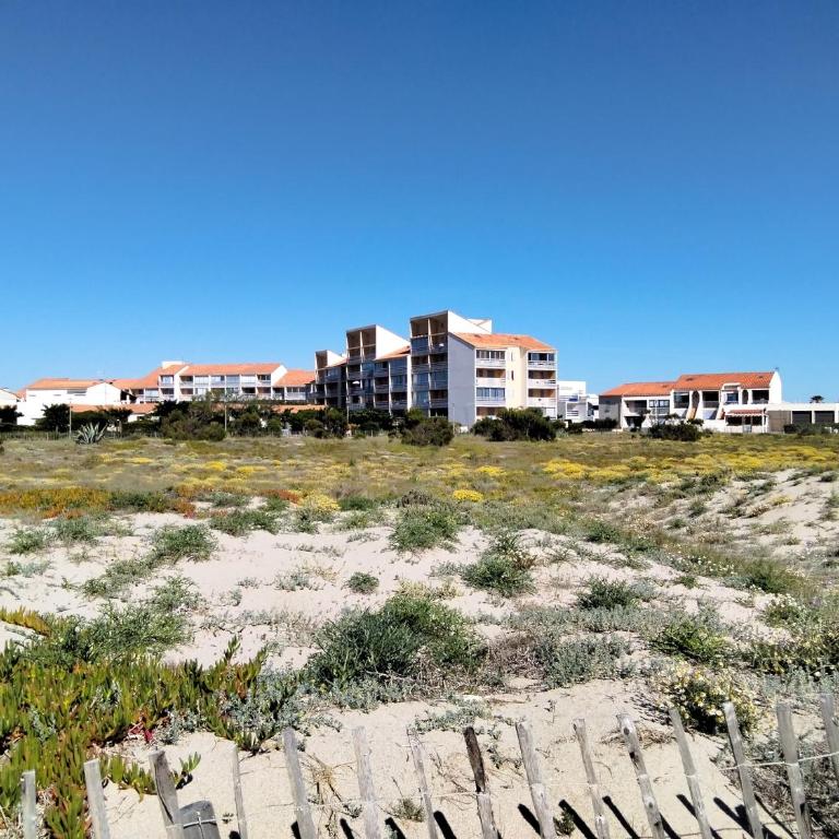 Appartement CHLOE vue mer et Canigou 1ere ligne - Apartamento de 2 dormitorios - 10
