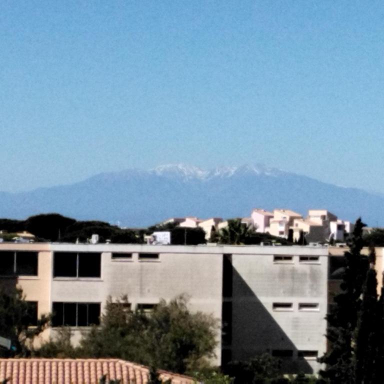 Appartement CHLOE vue mer et Canigou 1ere ligne - Apartamento de 2 dormitorios - 7