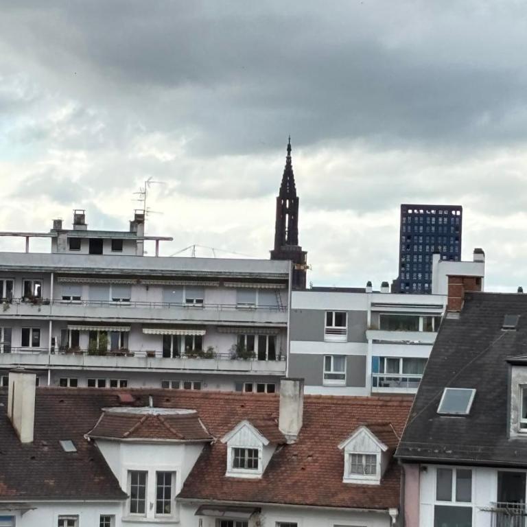 Soh Rent Appartement cozy Strasbourg Wifi Terrasse St Aloise - Double Room - 17