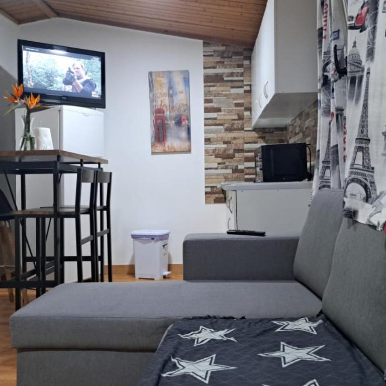 Villa Olga Rosa - Apartamento de 1 dormitorio - 8