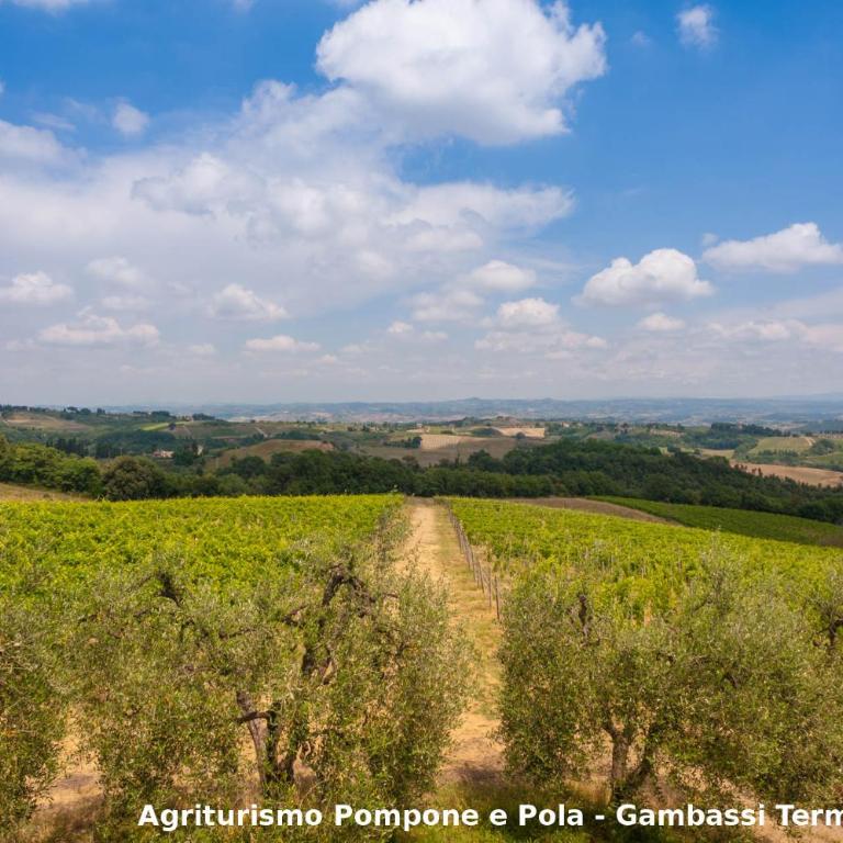 Agriturismo Pompone e Pola - Casa con 6 Camere da Letto - 30