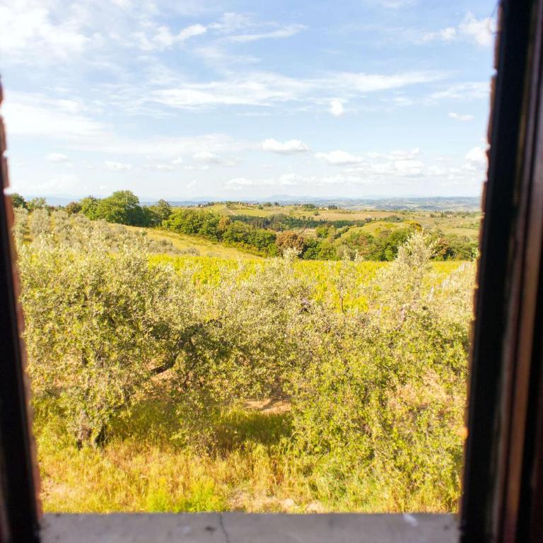 Agriturismo Pompone e Pola - Casa con 6 Camere da Letto - 20