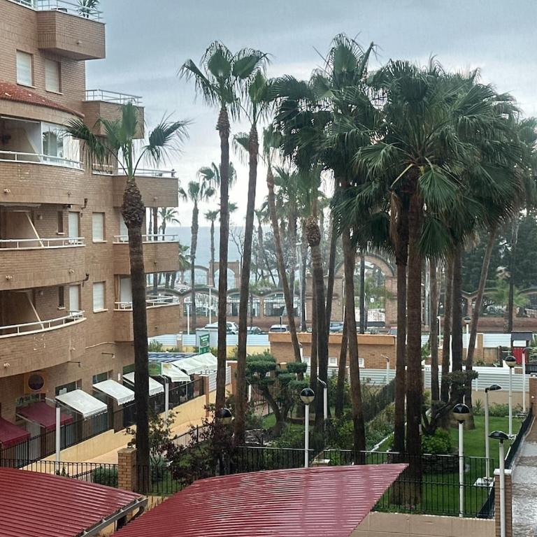 Bahia Park, Steps from beach! - Apartamento de 2 dormitorios - 7