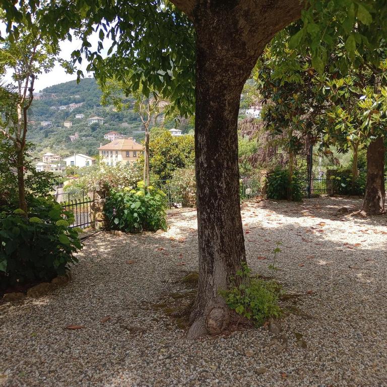 CASA ORRSA casa con terrazzo - Appartamento con 1 Camera da Letto - 12