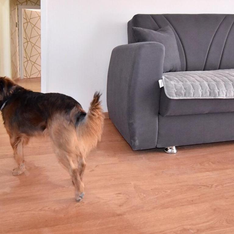 Due passi dal cupolone - appartamento al centro - Appartamento con 3 Camere da Letto - 26