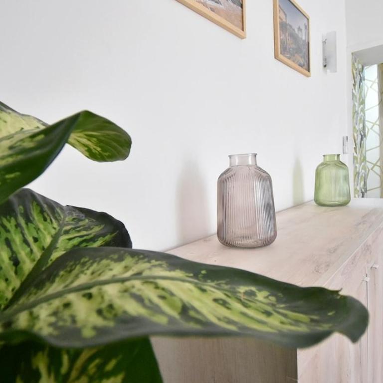 Due passi dal cupolone - appartamento al centro - Appartamento con 3 Camere da Letto - 25