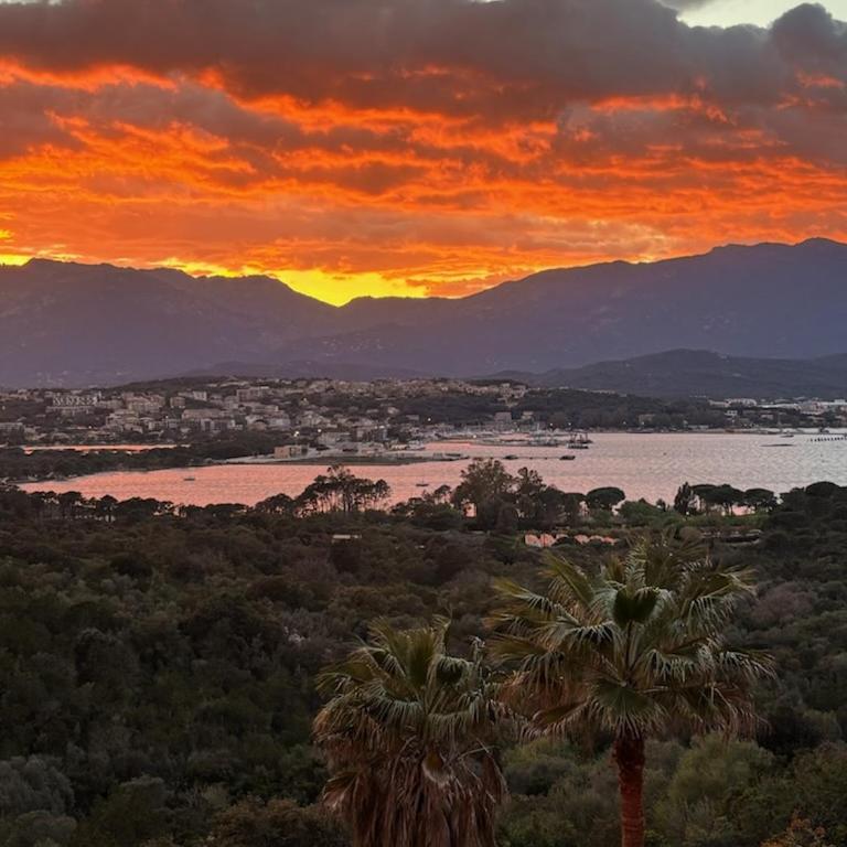 La baie des anges - Villa mit Meerblick - 81