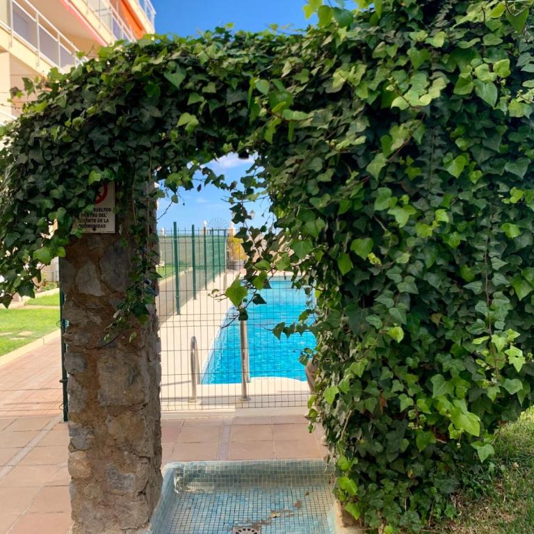 Carihuela beachfront penthouse, unique views - Apartamento de 2 dormitorios con vistas al mar - 28