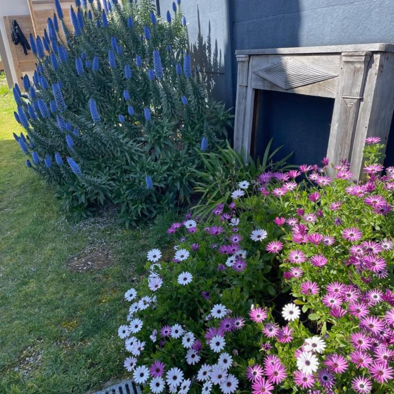 QUIBERON, maison 5pers, calme et lumineuse, commerces et plages à pied - Haus mit 2 Schlafzimmern - 8