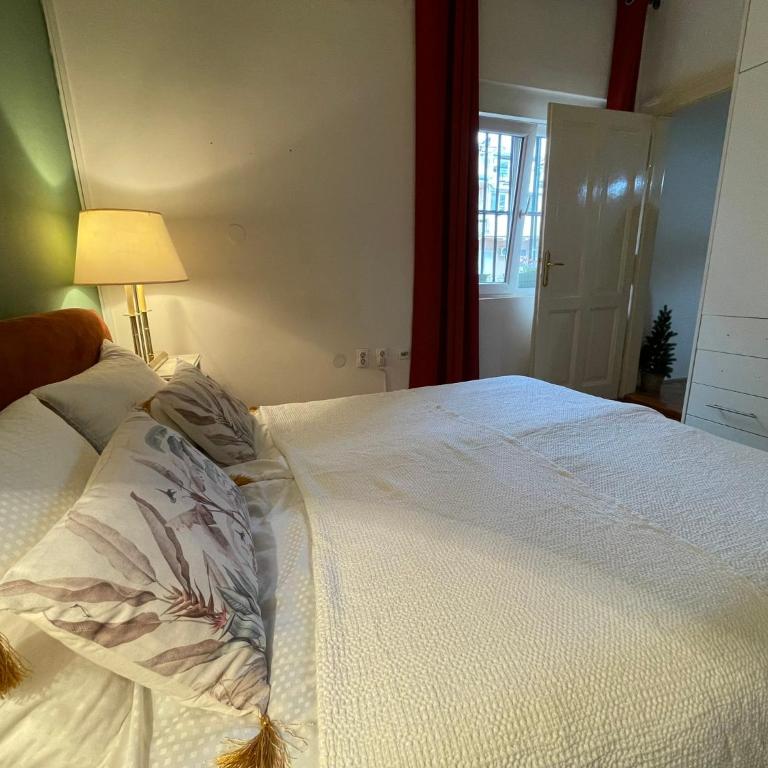 Jenny's apartmen centar - Apartman sa 1 Spavaćom Sobom - 28