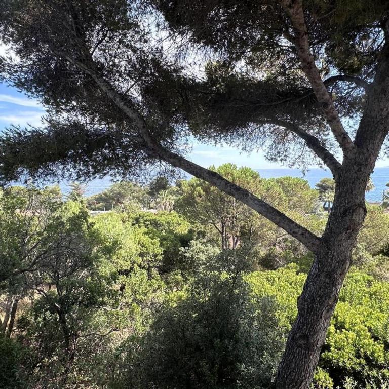 Apartment T4 with terrace in Roquebrune-sur-Argens - Apartment - 11