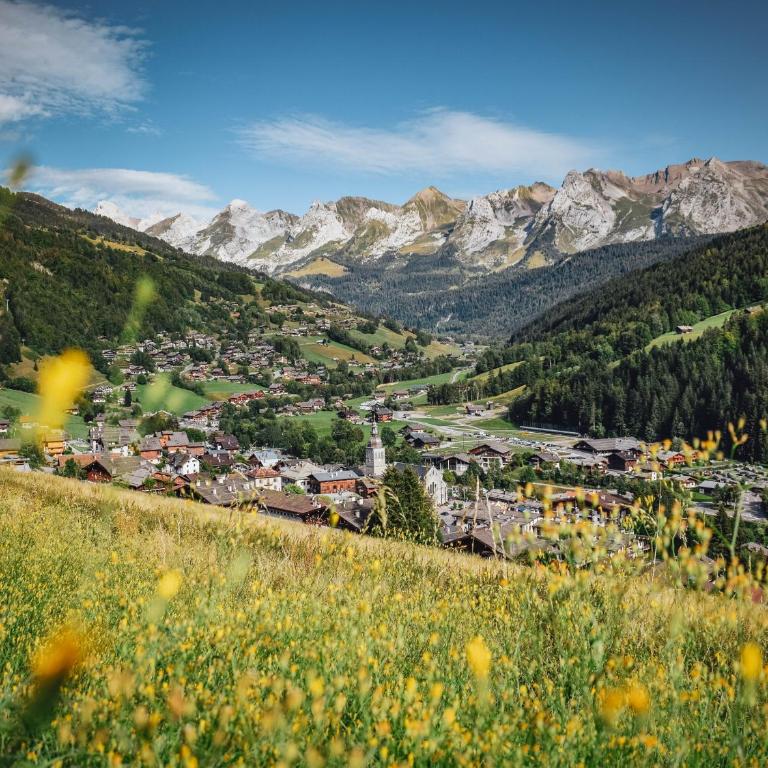 Studio montagnard pour 4 avec parking et animaux admis - FR-1-467-29 - Monolocale - 3