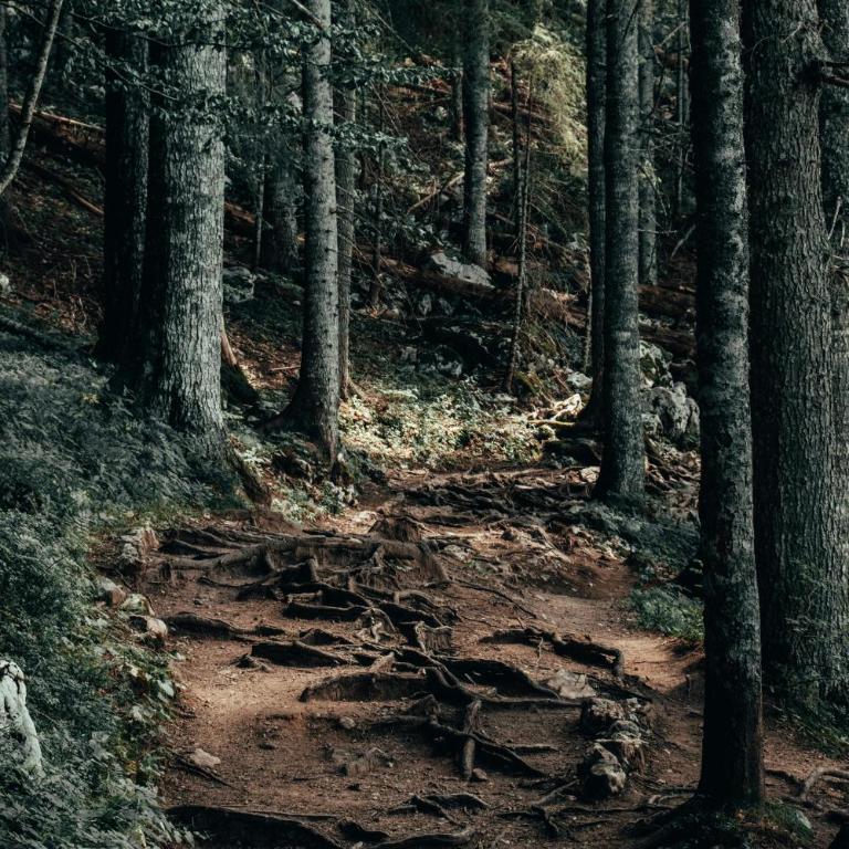 Highlander guesthouse - Two-Bedroom House - 42