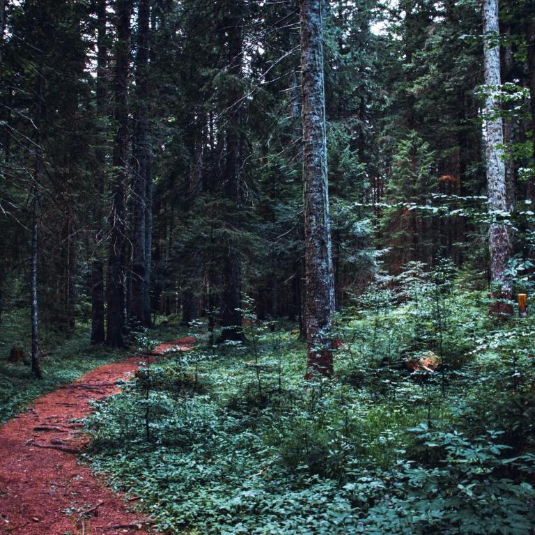 Highlander guesthouse - Two-Bedroom House - 43