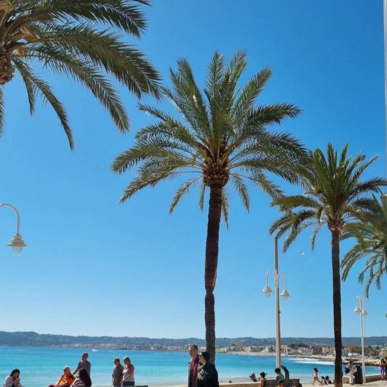 C' Donat - Apartamento con Piscina Playa del Arenal - Apartamento de 3 dormitorios con piscina privada - 33