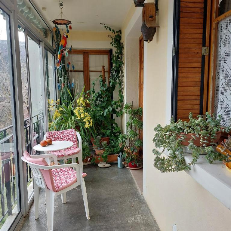 La Gineste - Appartement 2 Chambres - 9