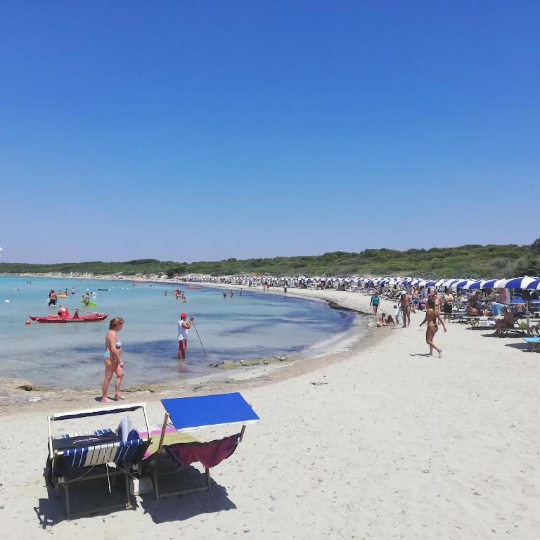 Villetta dei Fiori, vicino Spiaggia di Punta Pizzo - Villa - 45