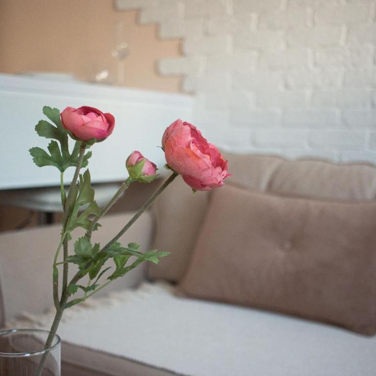 Duplex in the heart of Belgrade - Apartman sa 1 Spavaćom Sobom - 10